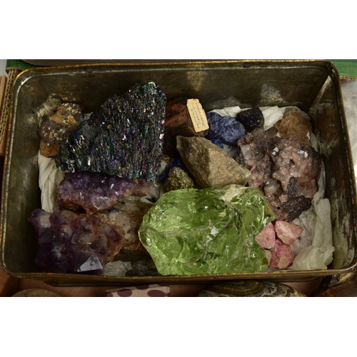 199 - AN ASSORTED LOT OF COLLECTABLE GEMSTONE, FOSSILS AND SHELL SPECIMENS, to include amethyst crystals, ... 