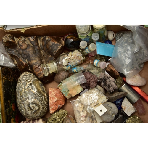 199 - AN ASSORTED LOT OF COLLECTABLE GEMSTONE, FOSSILS AND SHELL SPECIMENS, to include amethyst crystals, ... 