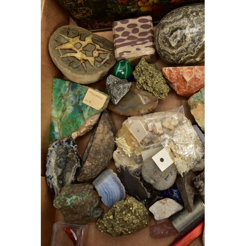 199 - AN ASSORTED LOT OF COLLECTABLE GEMSTONE, FOSSILS AND SHELL SPECIMENS, to include amethyst crystals, ... 