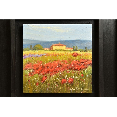 401 - BRUNO TINUCCI (ITALY 1947)  'COLORITAMENTE / COLOURFULLY', an Italian landscape with wild flowers be... 