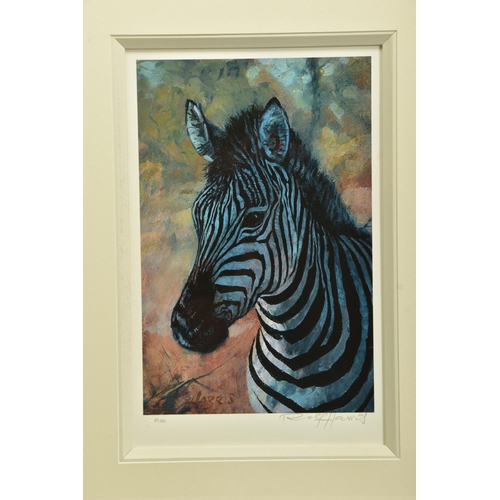 412 - ROLF HARRIS (AUSTRALIA 1930) 'YOUNG ZEBRA', a signed limited edition print 39/195, with certificate,... 