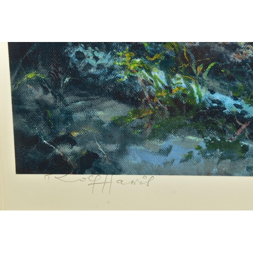 419 - ROLF HARRIS (AUSTRALIAN 1930) 'LEOPARD RECLINING AT DUSK' a limited edition print 83/195, signed to ... 