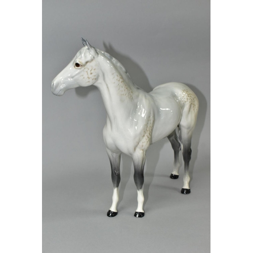 487 - A BESWICK LARGE HUNTER, SECOND VERSION, MODEL NO.1734, in grey gloss, height 30cm (Condition report:... 