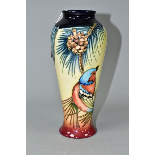 536 - A MOORCROFT POTTERY BALUSTER VASE DECORATED WITH THREE BIRDS IN THE BRANCHES OF A PINE TREE, impress... 