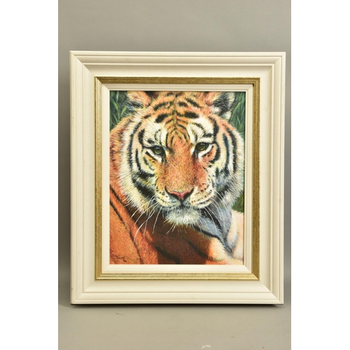 402 - TONY FORREST (BRITISH 1961) 'WILD THING' A signed limited edition print of a tiger, 48/195 with cert... 