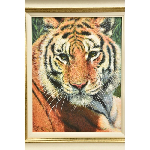 402 - TONY FORREST (BRITISH 1961) 'WILD THING' A signed limited edition print of a tiger, 48/195 with cert... 