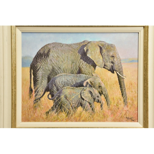 407 - TONY FORREST (BRITISH 1961) 'FAMILY OUTING' a limited edition print of African Elephants 40/195, sig... 