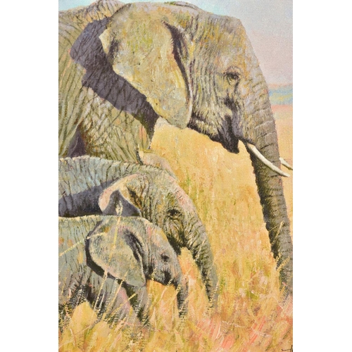 407 - TONY FORREST (BRITISH 1961) 'FAMILY OUTING' a limited edition print of African Elephants 40/195, sig... 