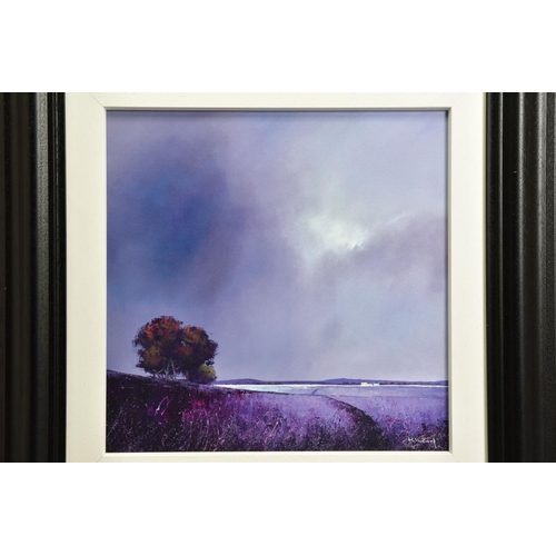 410 - BARRY HILTON (BRITISH CONTEMPORARY) 'LAVENDER SKIES' a signed limited edition print of a landscape, ... 