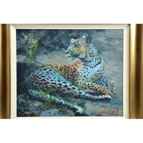 412 - ROLF HARRIS (AUSTRALIA 1930) 'LEOPARD RECLINING AT DUSK' a signed artist proof edition print on canv... 