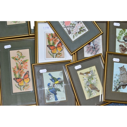 503 - J & J CASH LTD, FRAMED WOVEN PICTURES, a collection of fifteen examples comprising eight bird studie... 