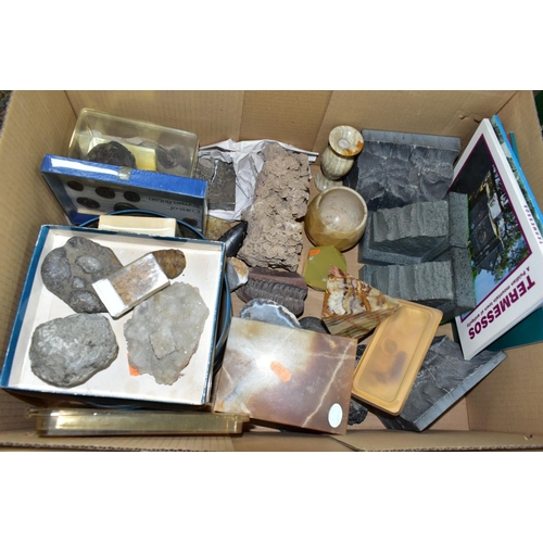 511 - TWO BOXES OF FOSSILS, ROCKS, MINERALS AND RELATED BOOKS, approximately to include over thirty books ... 