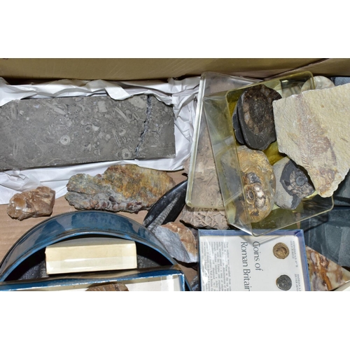 511 - TWO BOXES OF FOSSILS, ROCKS, MINERALS AND RELATED BOOKS, approximately to include over thirty books ... 