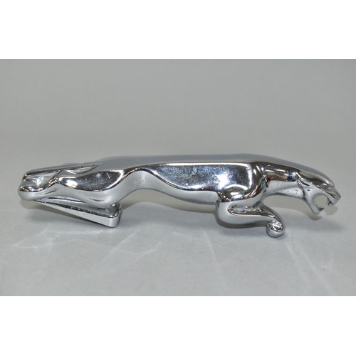 531 - A CHROME PLATED JAGUAR CAR MASCOT, unmounted, faintly marked 7/10091/1 WB?, length 18cm (Condition r... 