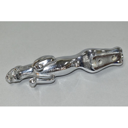 531 - A CHROME PLATED JAGUAR CAR MASCOT, unmounted, faintly marked 7/10091/1 WB?, length 18cm (Condition r... 