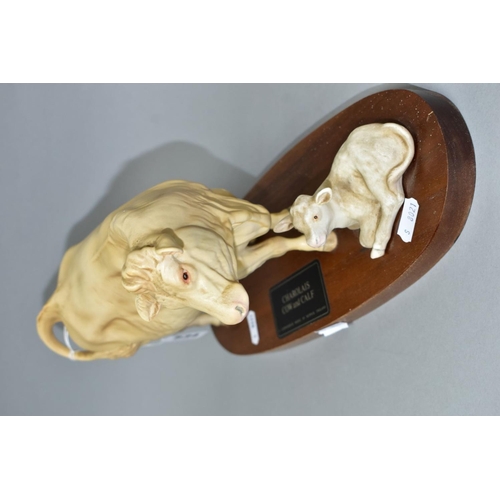 534 - A BESWICK CHAROLAIS COW AND CALF ON A WOODEN PLINTH, model no.A2648/2652, satin matt glaze (Conditio... 