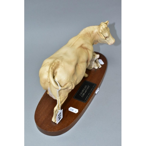 534 - A BESWICK CHAROLAIS COW AND CALF ON A WOODEN PLINTH, model no.A2648/2652, satin matt glaze (Conditio... 