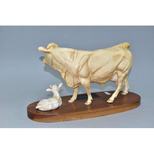 534 - A BESWICK CHAROLAIS COW AND CALF ON A WOODEN PLINTH, model no.A2648/2652, satin matt glaze (Conditio... 