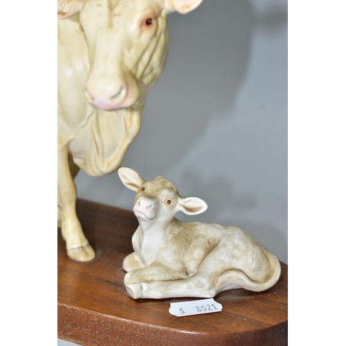 534 - A BESWICK CHAROLAIS COW AND CALF ON A WOODEN PLINTH, model no.A2648/2652, satin matt glaze (Conditio... 