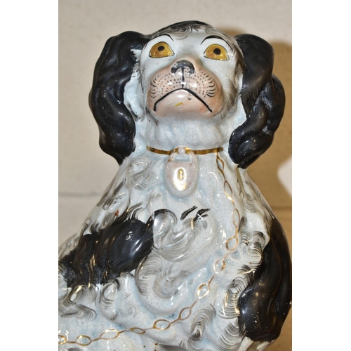 489 - A PAIR OF VICTORIAN STAFFORDSHIRE POTTERY CURLY COATED BLACK AND WHITE SEATED SPANIELS, one freestan... 