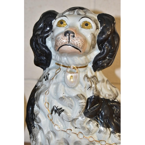 489 - A PAIR OF VICTORIAN STAFFORDSHIRE POTTERY CURLY COATED BLACK AND WHITE SEATED SPANIELS, one freestan... 