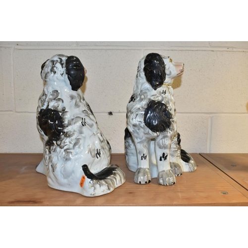 489 - A PAIR OF VICTORIAN STAFFORDSHIRE POTTERY CURLY COATED BLACK AND WHITE SEATED SPANIELS, one freestan... 