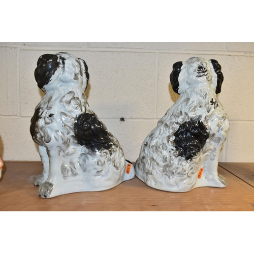 489 - A PAIR OF VICTORIAN STAFFORDSHIRE POTTERY CURLY COATED BLACK AND WHITE SEATED SPANIELS, one freestan... 