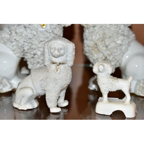 493 - SIX VICTORIAN STAFFORDSHIRE WHITE GLAZED AND FRIT DECORATED POODLE FIGURES AND A SIMILAR SMALL CONTI... 