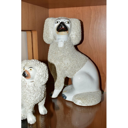 493 - SIX VICTORIAN STAFFORDSHIRE WHITE GLAZED AND FRIT DECORATED POODLE FIGURES AND A SIMILAR SMALL CONTI... 