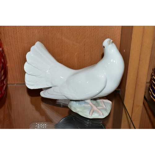 497 - TWO LLADRO DOVE FIGURES, comprising Couple of Doves No. 1169, sculpted by Antonio Ballester, issued ... 