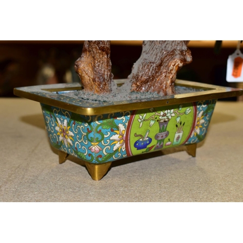 534 - A CHINESE CARVED HARDSTONE TREE MOUNTED IN A RECTANGULAR CLOISONNE POT, height approx. 47cm (Conditi... 