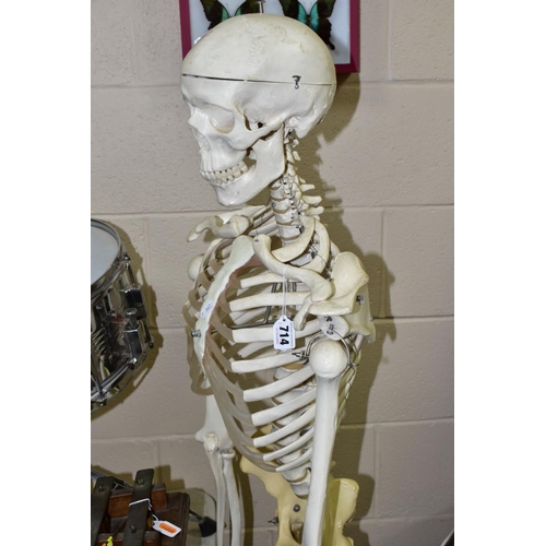 714 - A TWENTIETH CENTURY TEACHING SKELETON ON A STAND, resin skeleton stands approximately 161cm tall on ... 