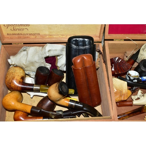 720 - TWO CIGAR BOXES OF PIPES, to include novelty Meerschaum pipes featuring a horse, a lion and human fa... 