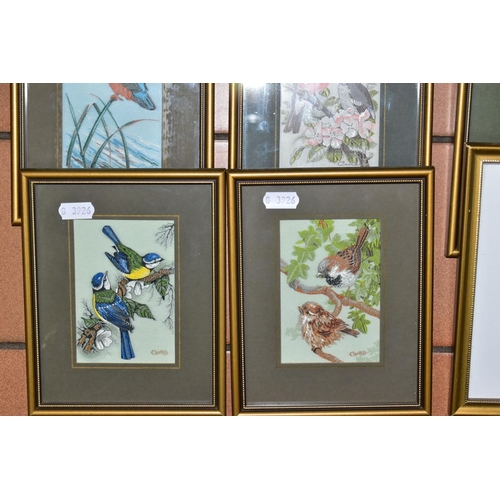 440 - J & J CASH LTD, FRAMED WOVEN PICTURES, a collection of fifteen examples comprising eight bird studie... 