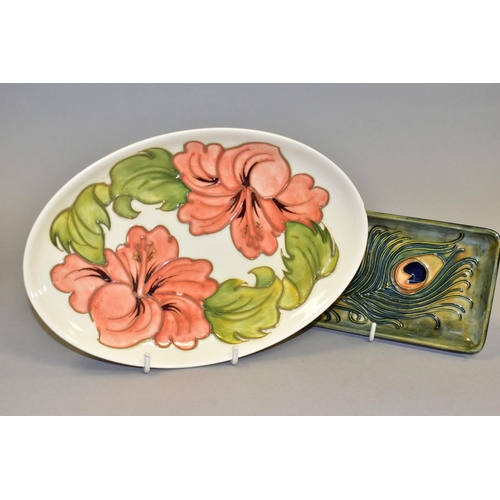 448 - A MOORCROFT PEACOCK FEATHERS RECTANGULAR TRAY AND A MOORCROFT CORAL HIBISCUS OVAL TRAY, the former h... 