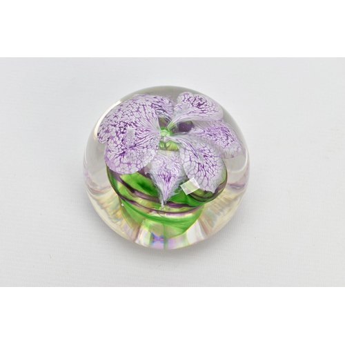 156 - SIDDY LANGLEY (BRITISH CONTEMPORARY) AN ORCHID DESIGN GLASS PAPERWEIGHT, signed and dated 1996 to th... 