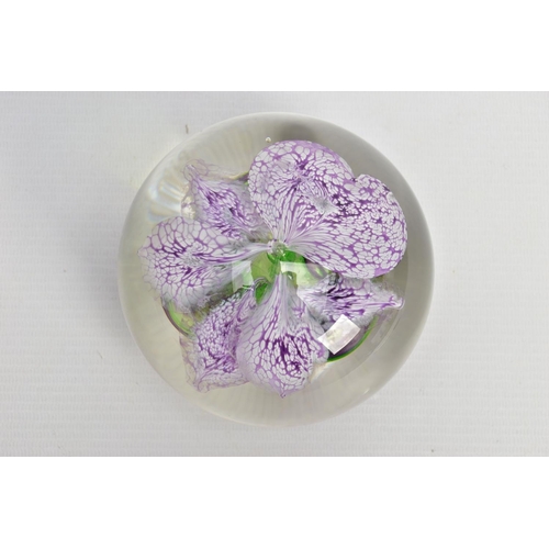 156 - SIDDY LANGLEY (BRITISH CONTEMPORARY) AN ORCHID DESIGN GLASS PAPERWEIGHT, signed and dated 1996 to th... 