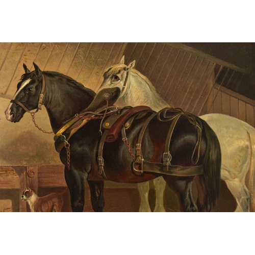 334 - JOHN FREDERICK HERRING Snr (1795-1865), BROWN AND WHITE HEAVY HORSES IN STABLES, one wearing a harne... 