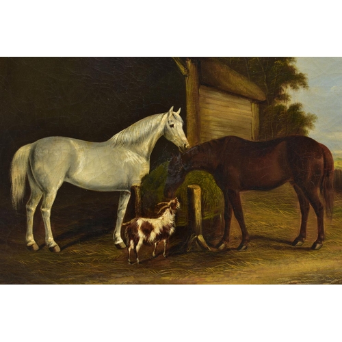 335 - A 19TH CENTURY ENGLISH SCHOOL STUDY OF TWO HORSES AND A GOAT BESIDE A THATCHED OUTBUILDING, no visib... 