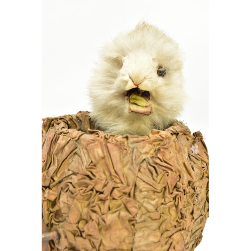 219 - A LATE 19TH / EARLY 20TH CENTURY MUSICAL AUTOMATON IN THE FORM OF A RABBIT IN A CABBAGE OR LETTUCE, ... 