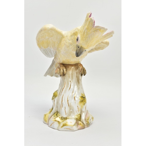 245 - A 20TH CENTURY MEISSEN COCKATOO AFTER J.J. KANDLER, modelled as perched on a mossy covered stump wit... 