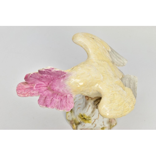 245 - A 20TH CENTURY MEISSEN COCKATOO AFTER J.J. KANDLER, modelled as perched on a mossy covered stump wit... 