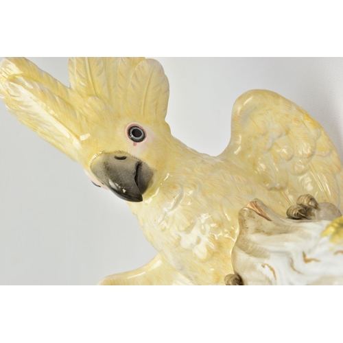 245 - A 20TH CENTURY MEISSEN COCKATOO AFTER J.J. KANDLER, modelled as perched on a mossy covered stump wit... 