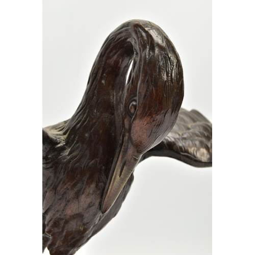 248 - A 19TH CENTURY BRONZE FIGURE OF A STORK STANDING WITH OUTSTRETCHED WINGS, clutching an eel to the gr... 