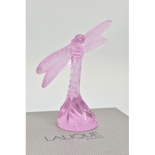 252 - A BOXED LALIQUE PINK GLASS DRAGONFLY, model no.1218500, frosted body on a clear base, etched 'Laliqu... 