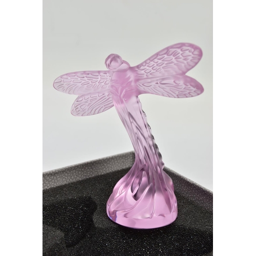 252 - A BOXED LALIQUE PINK GLASS DRAGONFLY, model no.1218500, frosted body on a clear base, etched 'Laliqu... 