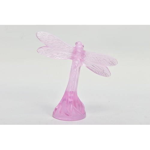 252 - A BOXED LALIQUE PINK GLASS DRAGONFLY, model no.1218500, frosted body on a clear base, etched 'Laliqu... 