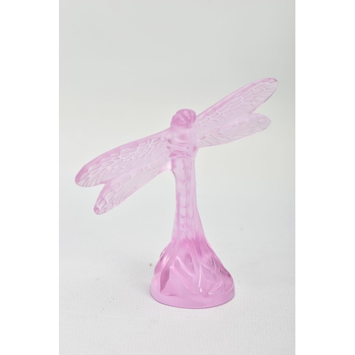 252 - A BOXED LALIQUE PINK GLASS DRAGONFLY, model no.1218500, frosted body on a clear base, etched 'Laliqu... 