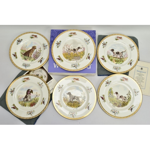 271 - A BOXED SET OF SIX WEDGWOOD LIMITED EDITION BONE CHINA' SPORTING DOGS' PLATES, no.129 / 200, printed... 