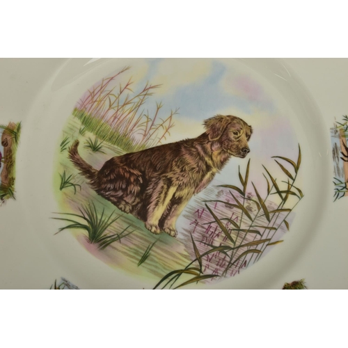 271 - A BOXED SET OF SIX WEDGWOOD LIMITED EDITION BONE CHINA' SPORTING DOGS' PLATES, no.129 / 200, printed... 